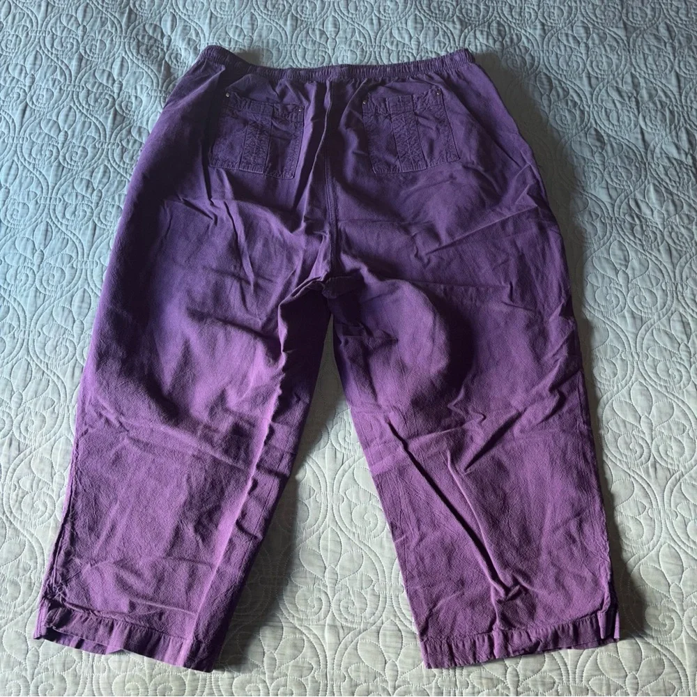 Erika Deep Purple Cotton Pants - Picture 4 of 6